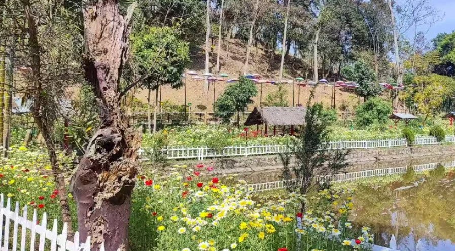 Bihu Loukon, India